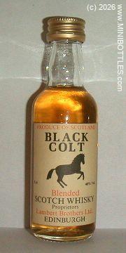 &copy; www.MINIBOTTLES.com - do not copy